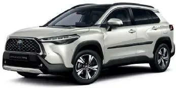 Молдинги дверей